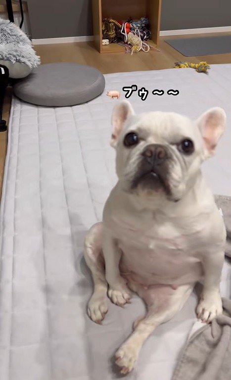 はなちゃんの体勢3