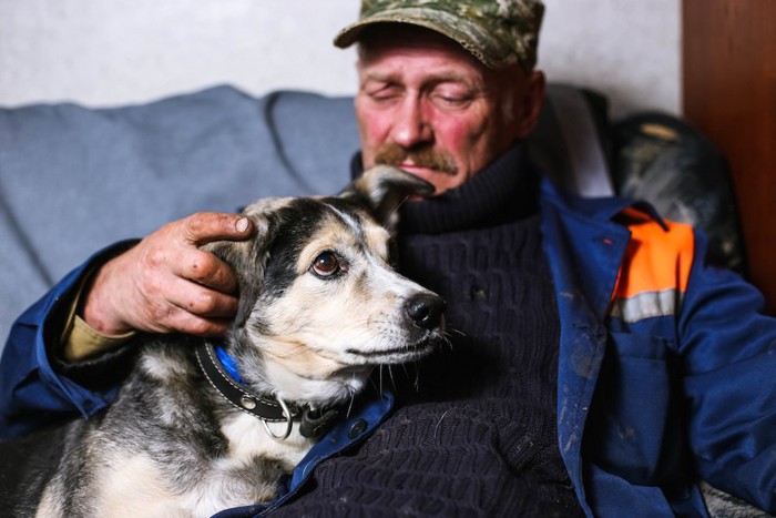 年配の男性に寄り添う犬