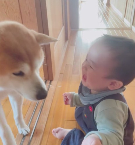 ハルちゃんがやってくると…