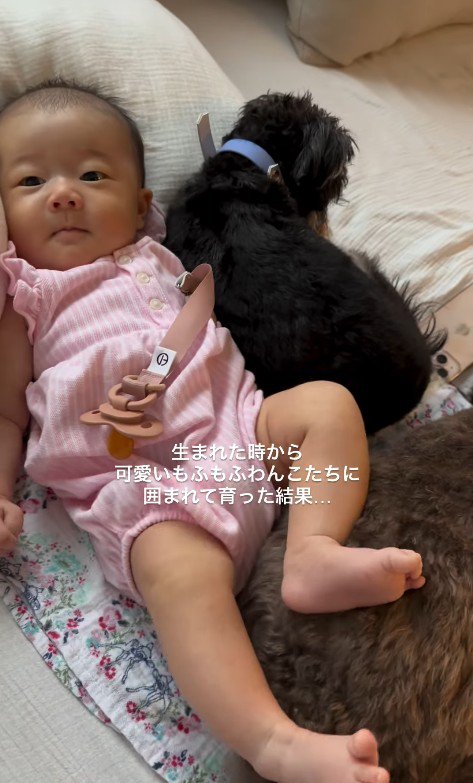 足を乗せても怒りません
