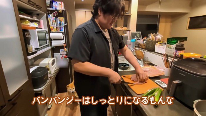 料理中、スティーブくんが登場