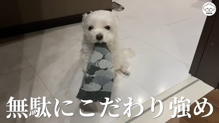 ナナくんとママさんのやり取り5