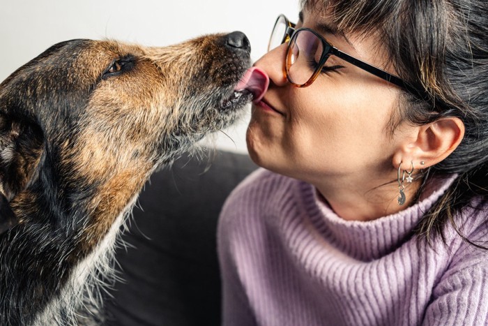 眼鏡をかけた女性の顔を舐める犬