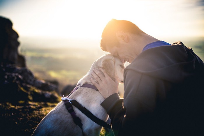 犬と男性 深い絆