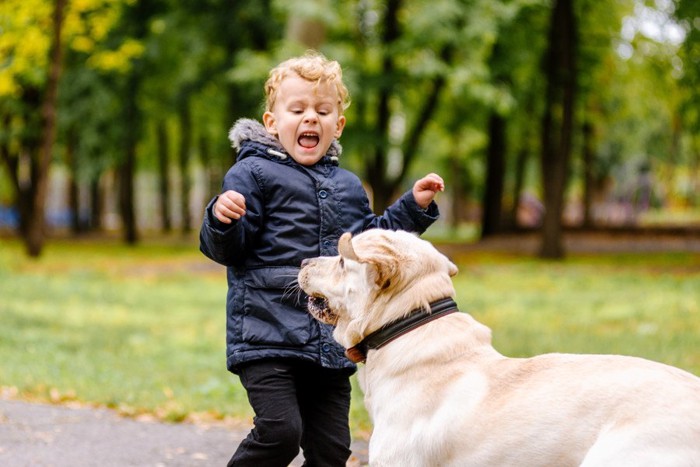 子どもと犬