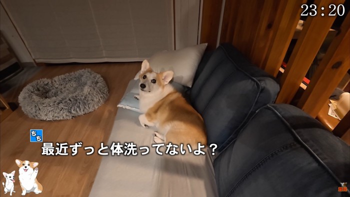 夜中に「体洗いましょう」と言ったら…