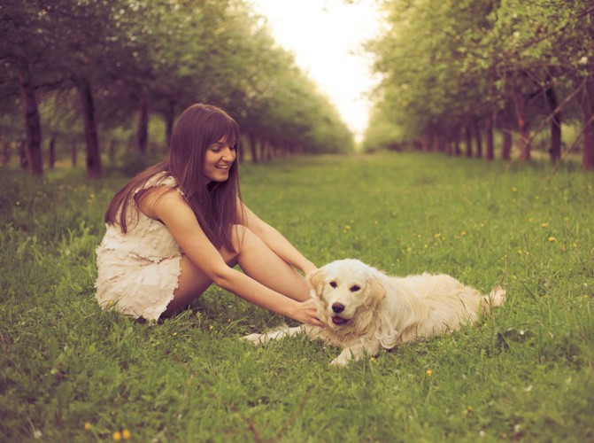 犬を撫でる女性