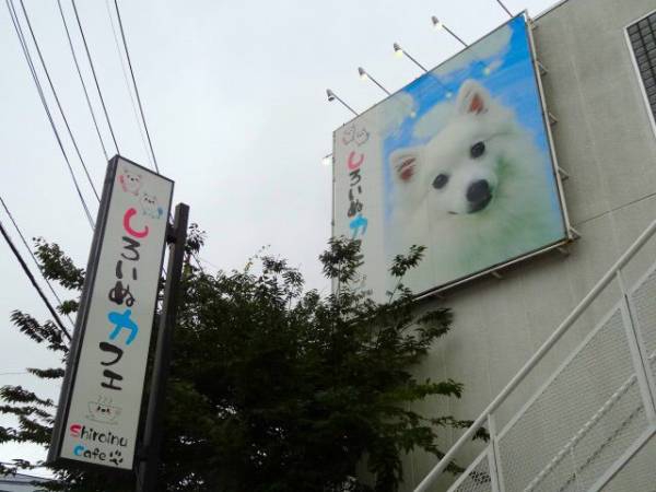 しろいぬカフェの看板