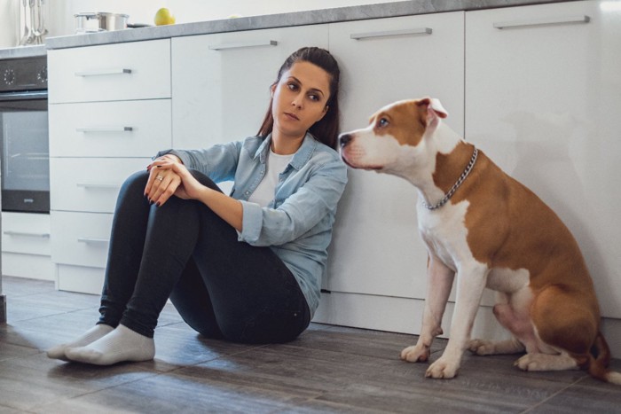 キッチンで犬と座っている女性