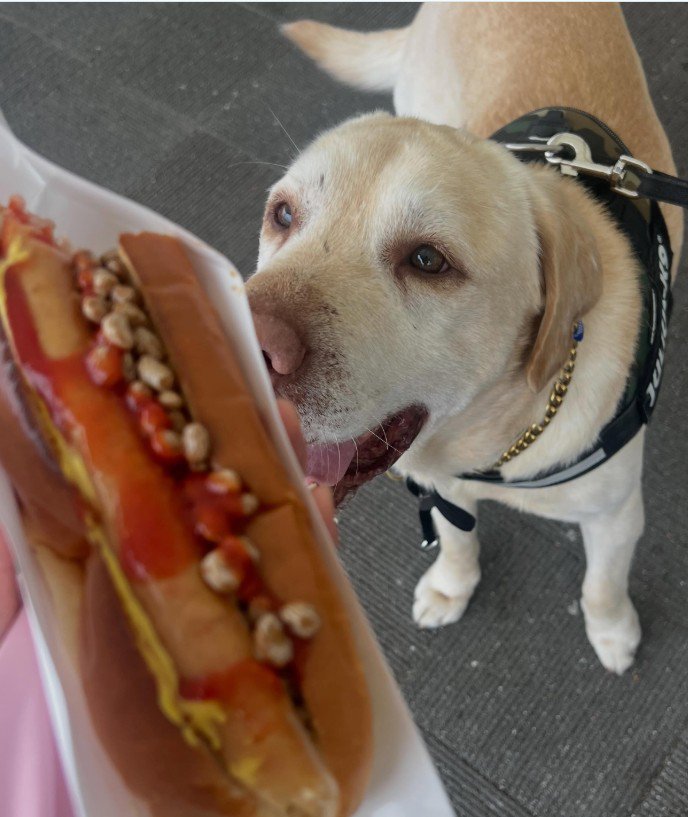 今ではこんなに幸せ犬に!!