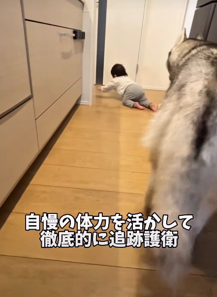 心配そうについていく