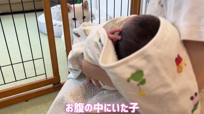 「弟だよ」
