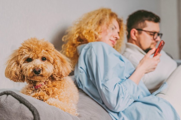 スマホに夢中なカップルと犬