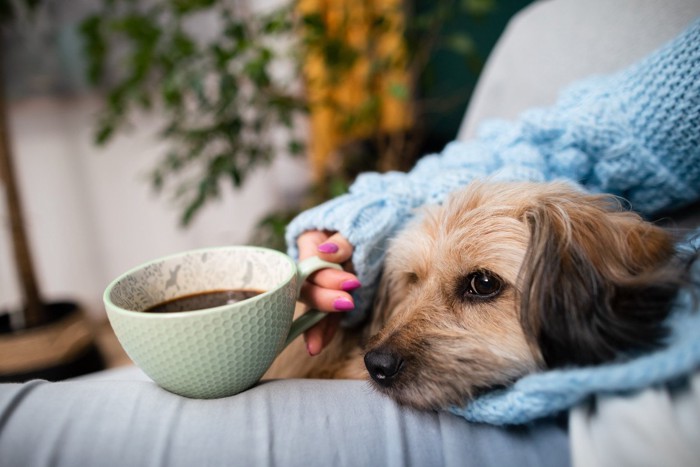 コーヒーを持った手と犬の顔