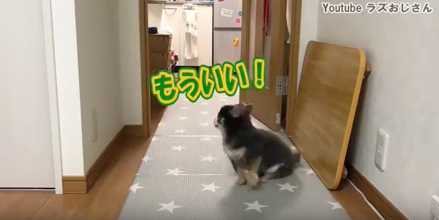 もういい！