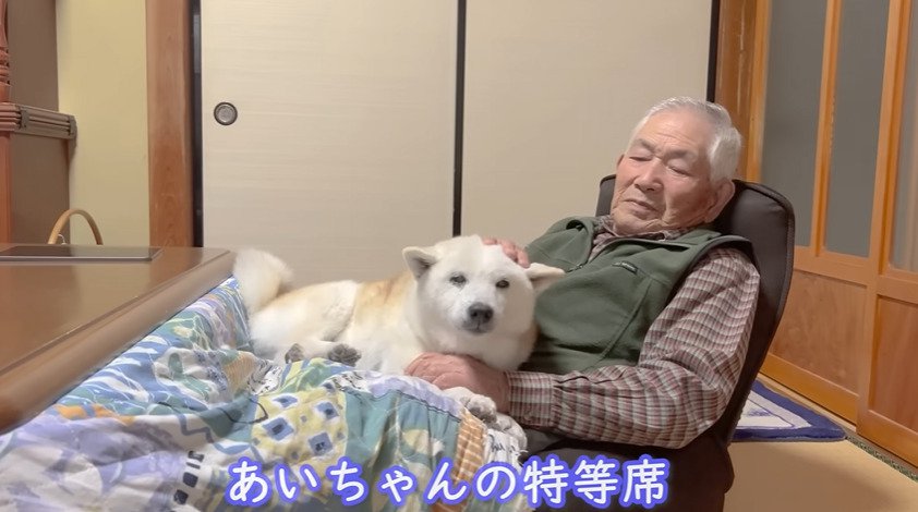 膝の上で落ち着く犬