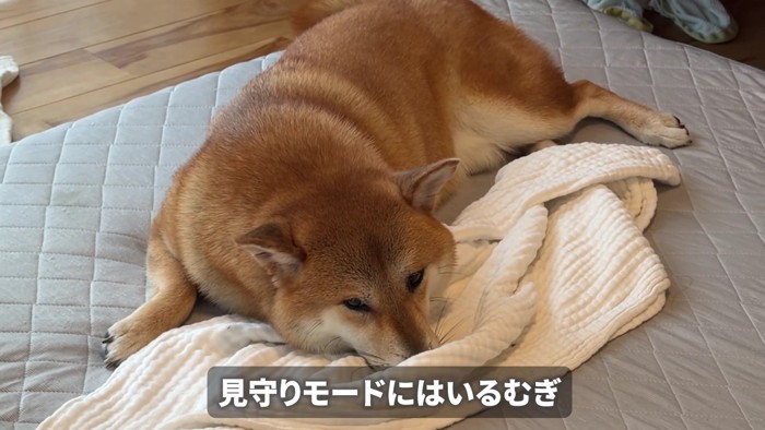 優しく見守っていたら…