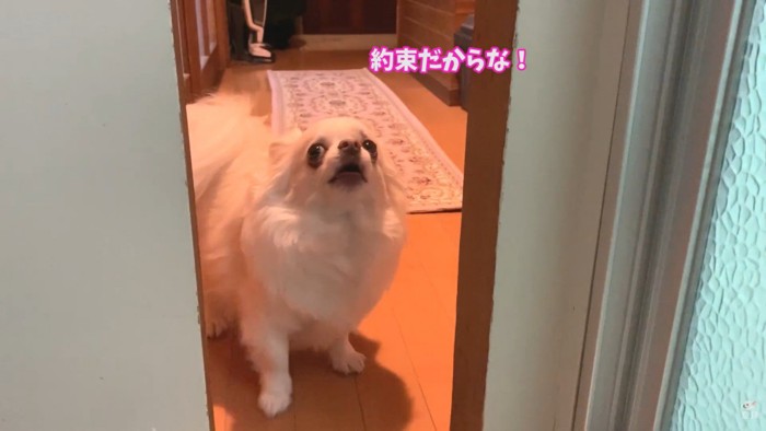 「絶対日曜に入れろよ!約束だからな!」