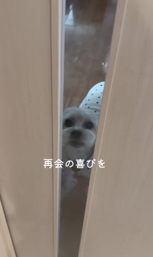 おかえり！