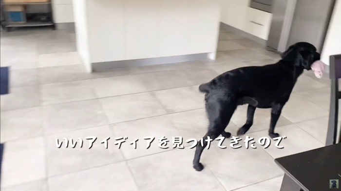 怒られる人形を見たえんぞう君の反応2