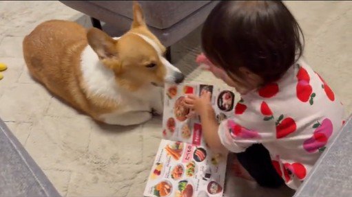 いなり君に読み聞かせをする女の子2