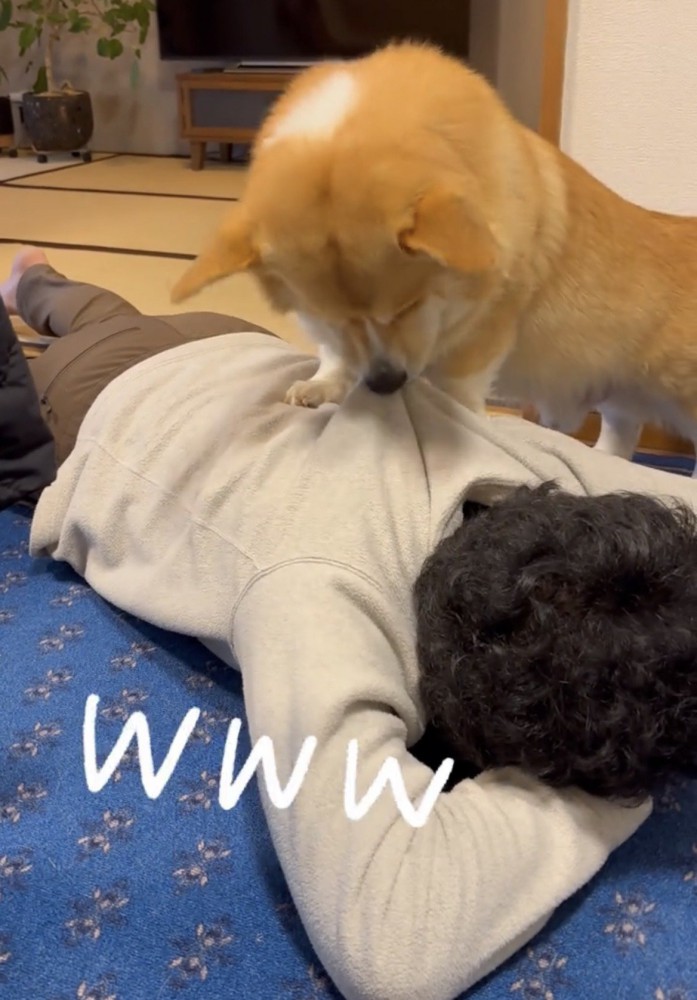 背中に乗って服を噛む犬