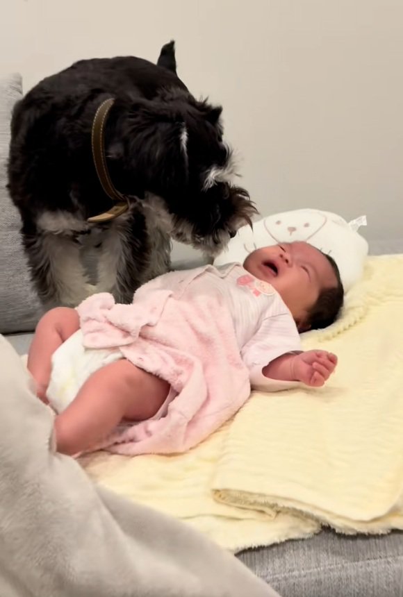 赤ちゃんをのぞき込むゆずくん