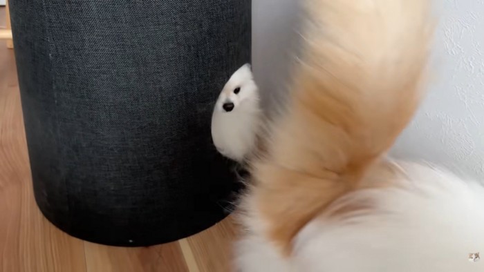 立ち去ってしまいました