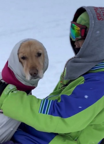 ソリに乗る犬とソリを追う人2