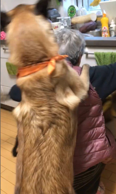 おんぶしてもらうウルルちゃん＆シオンちゃん6