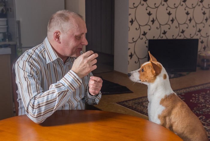 男性の話を聞く犬