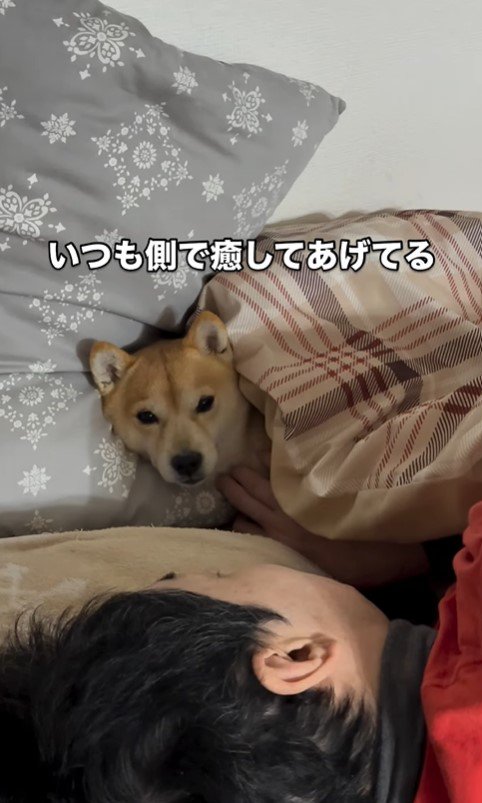 闘病中のパパさんに寄り添うたもつ君＆たら君7