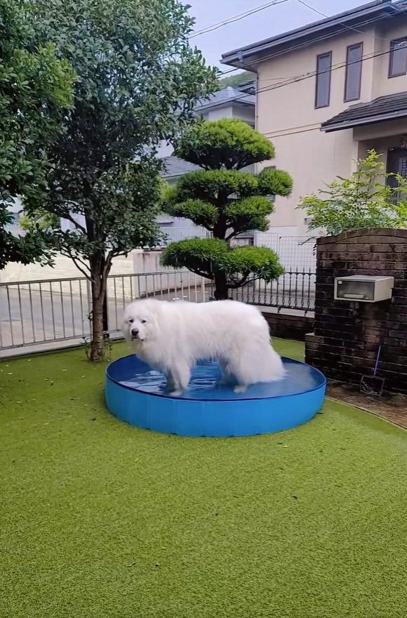 微動だにしないミントくん