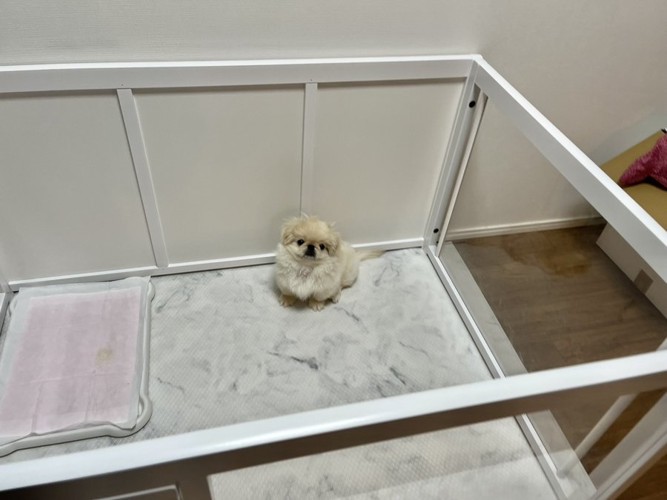 ちまっ
