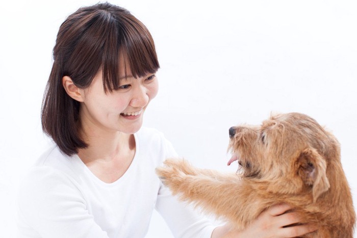 犬と白い服の女性