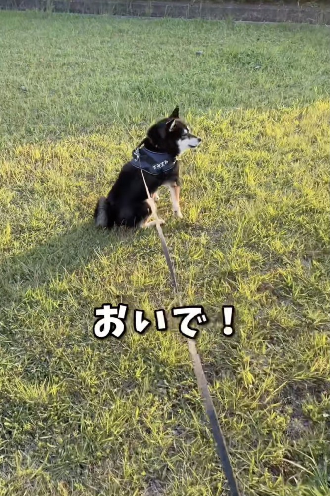 パパを完全無視