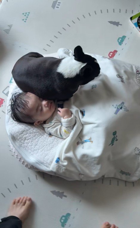 こんぶちゃんと赤ちゃん4