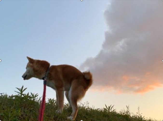 奇跡の一枚