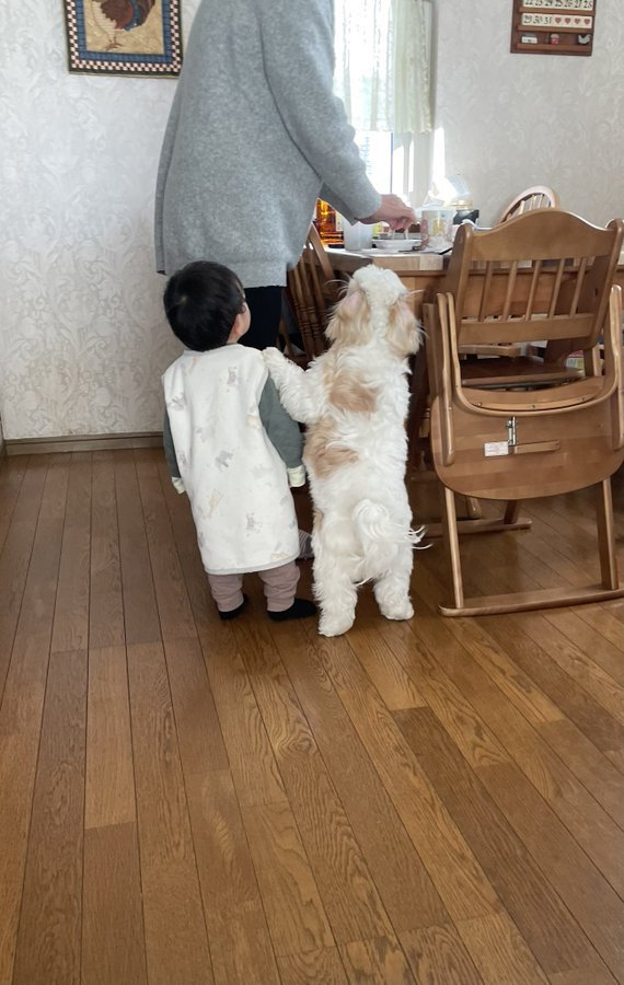 背丈
