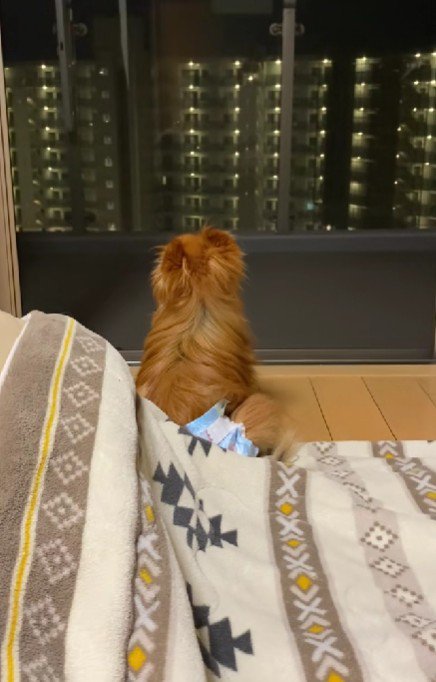 亡くなったれんくんの姿が