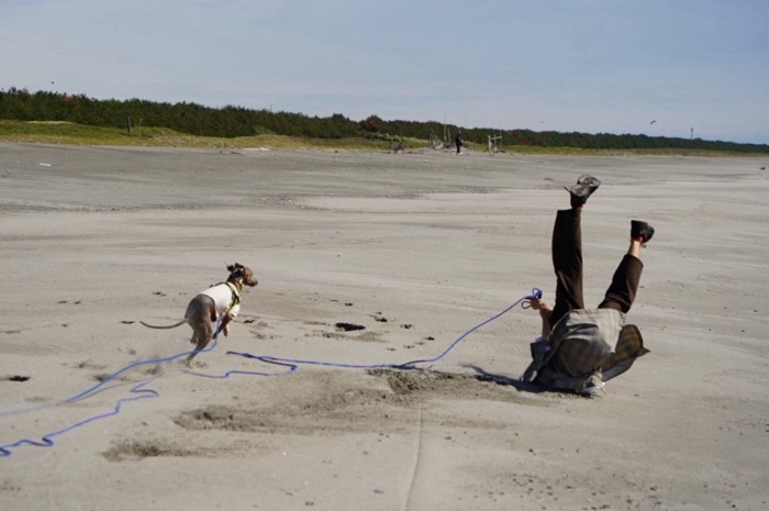 プットくんと海辺を走ったら