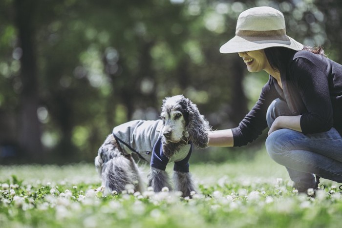 散歩する老犬と笑顔の飼い主