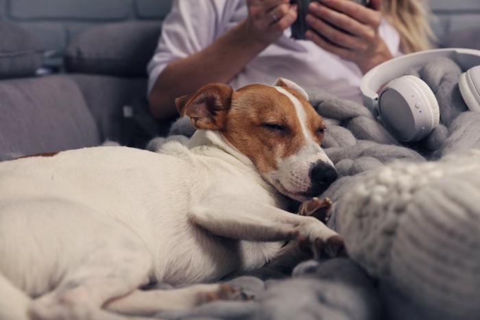 飼い主さんに寄り添って眠る犬