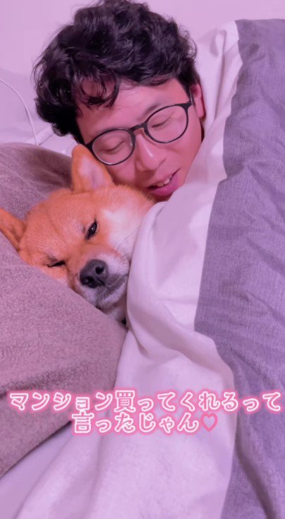 お相手は柴犬さん！？