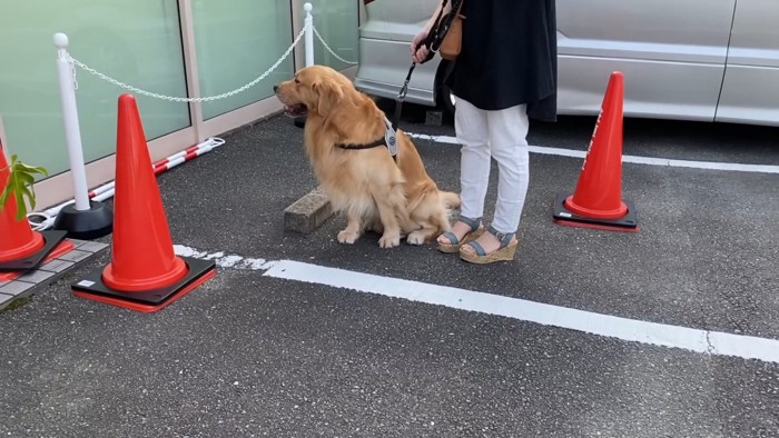 ペットホテルへ1泊