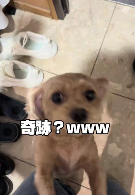 喜んでくれた…！！