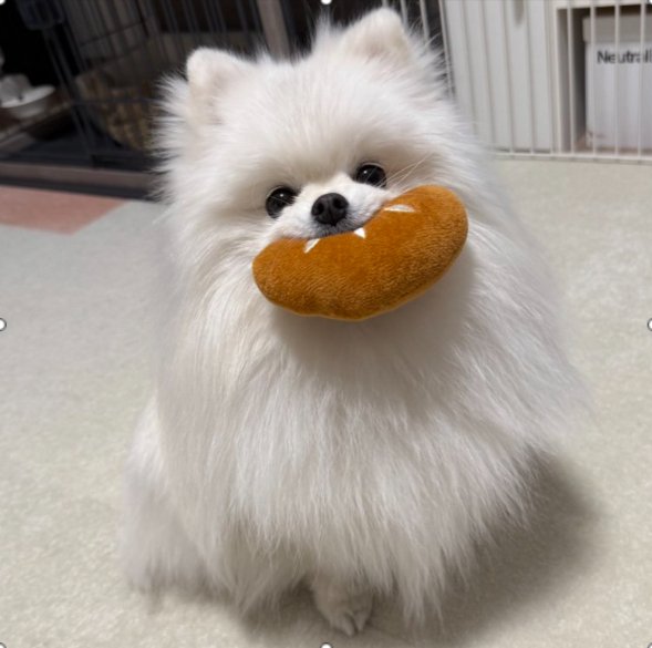 パン運び