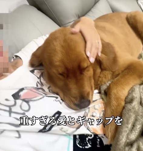 「自認は小型犬」甘えん坊なロックさん