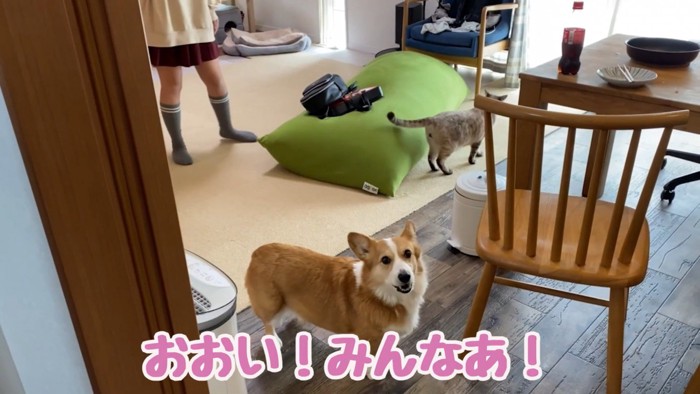 「行ってくるねー」と伝えるお母さん