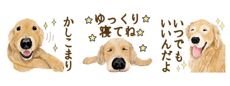 優しい犬！ゴールデンレトリバー